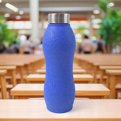 Stainless Steel Water Bottle (1000ml Mix Colour 1 Pc Crocodile)